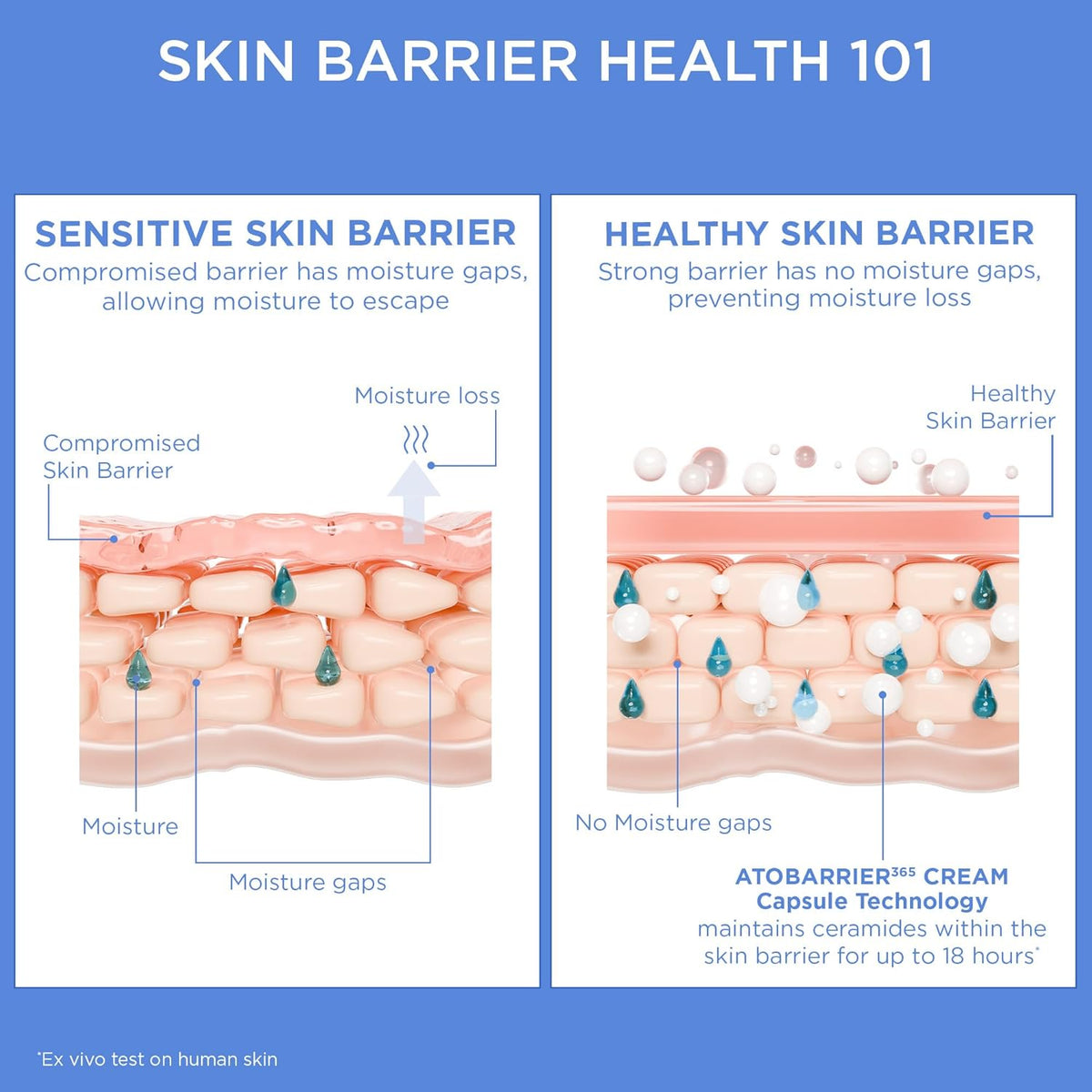 Intensive Ceramide Barrier Recovery Cream